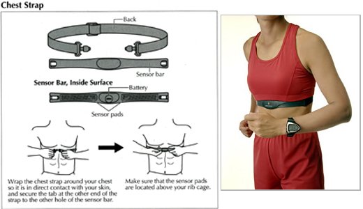 Chest Strap